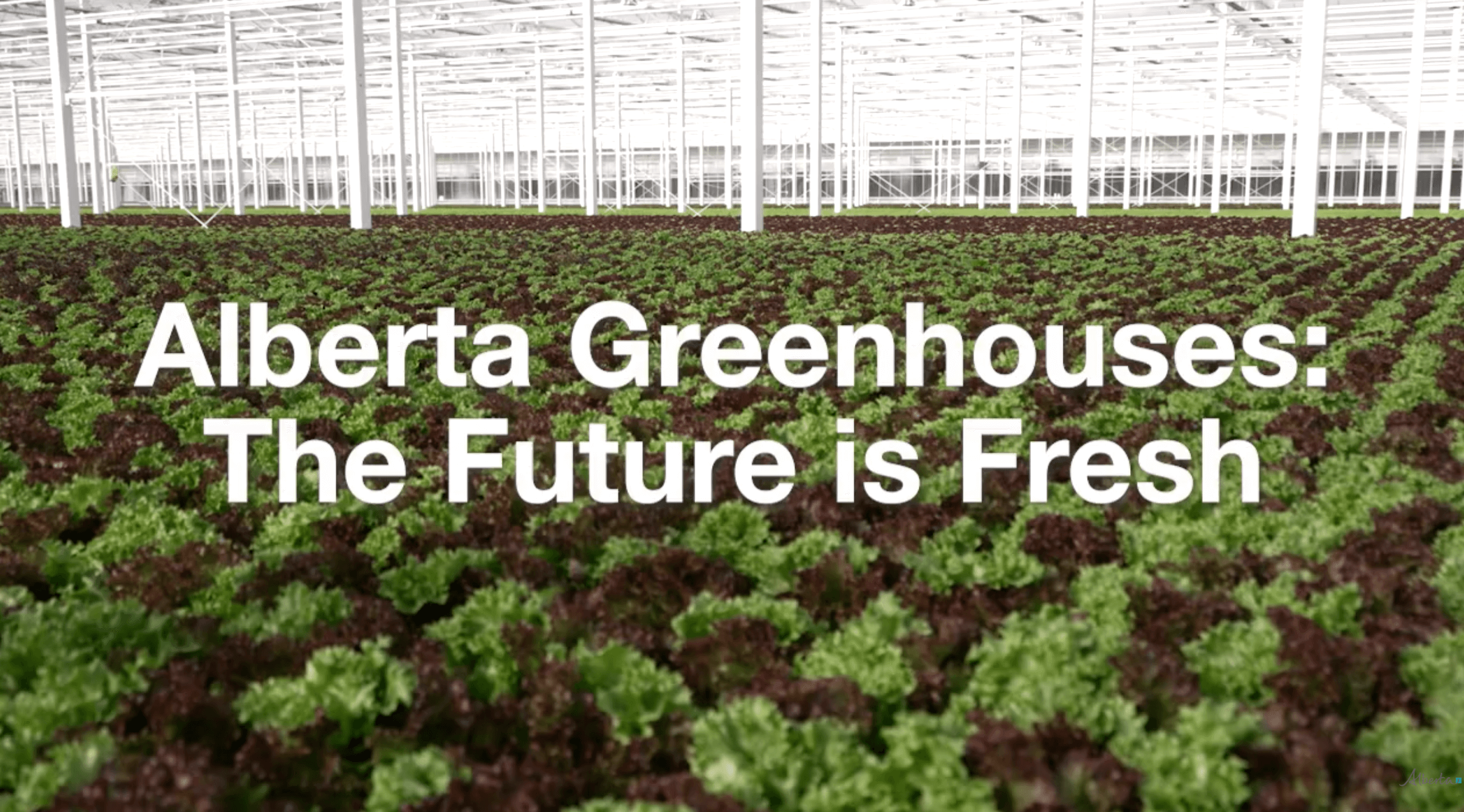 Alberta Greenhouses